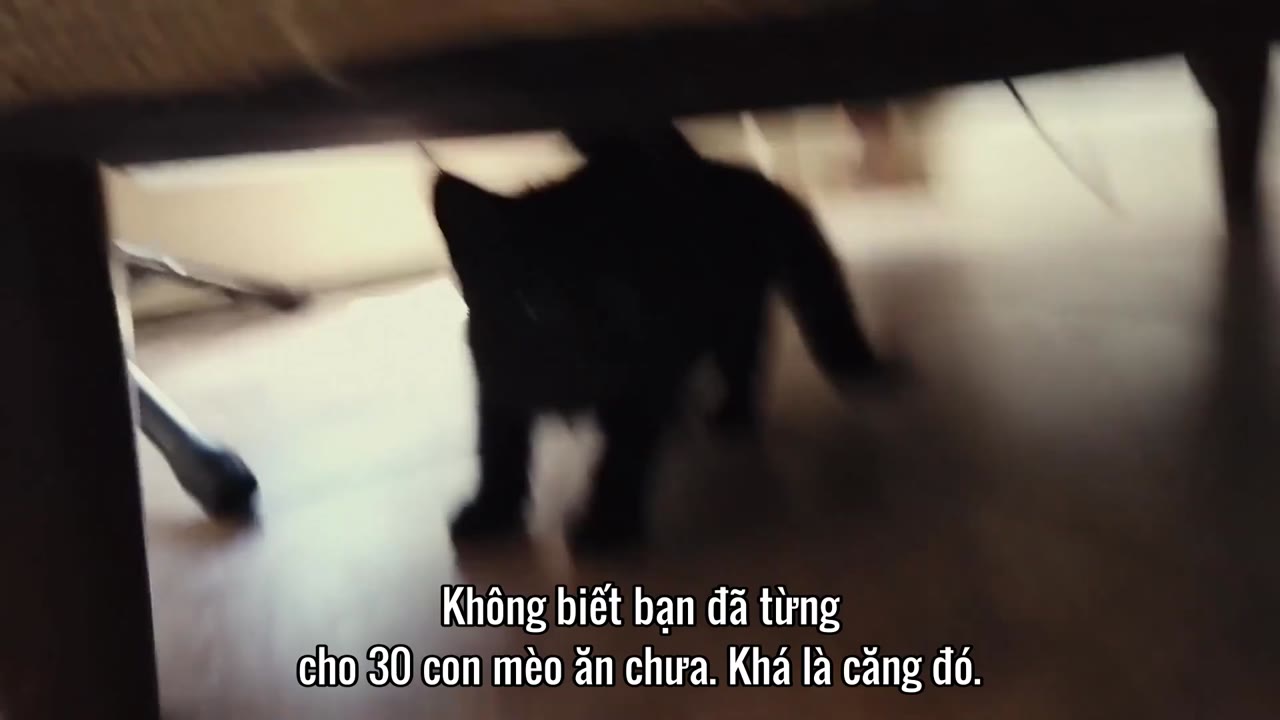 Ảnh hưởng xấu: Mặt tối của Kidfluencing tập 1 cảnh 3