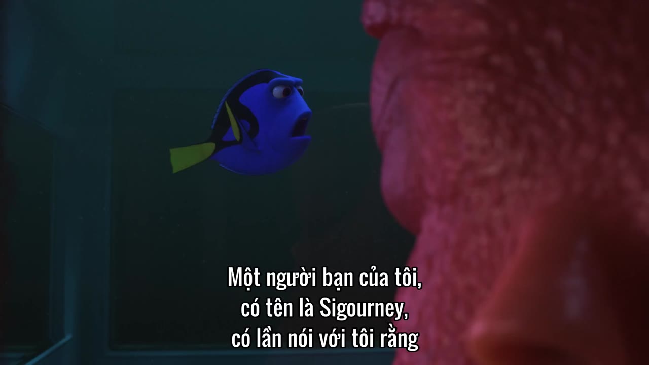 Đi Tìm Dory tập 1 cảnh 3