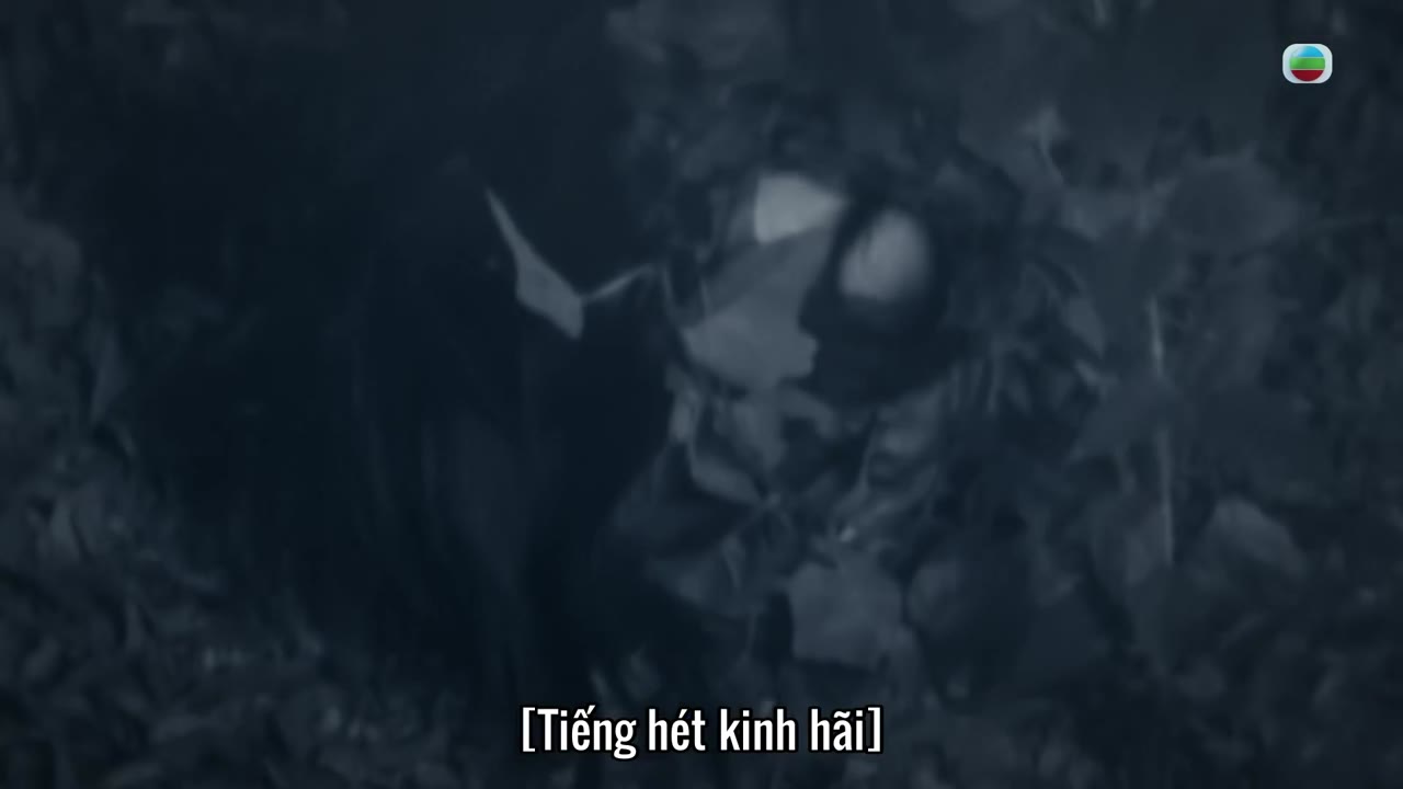 Khám Phá Huyền Bí - cảnh 1