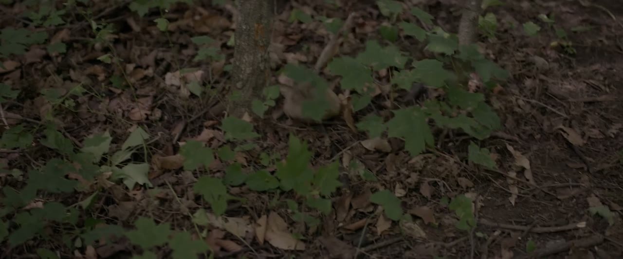 Hunting Grounds tập 1 cảnh 3