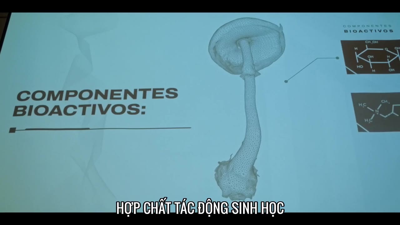 Medusa tập 4 cảnh 3