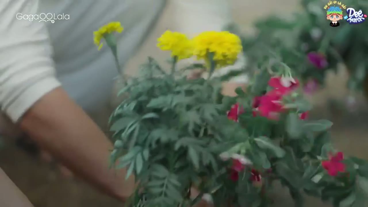 Mê Đắm Hương Hoa tập 8 cảnh 2