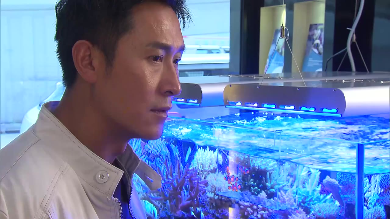 Phi Hổ 2 tập 13 cảnh 3