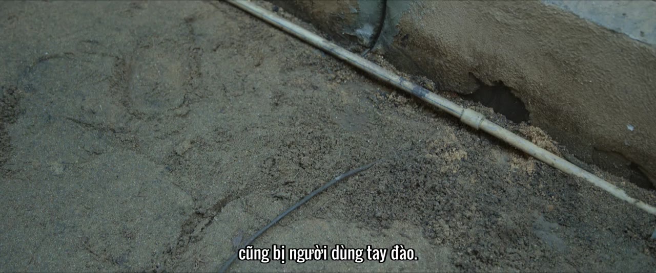 Đốt Cháy Tội Ác tập 16 cảnh 2
