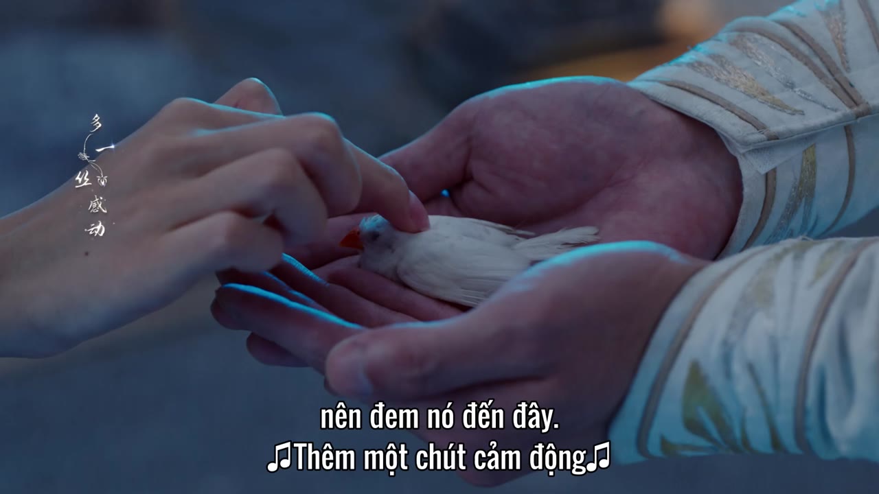 Hoa Nhung tập 33 cảnh 3