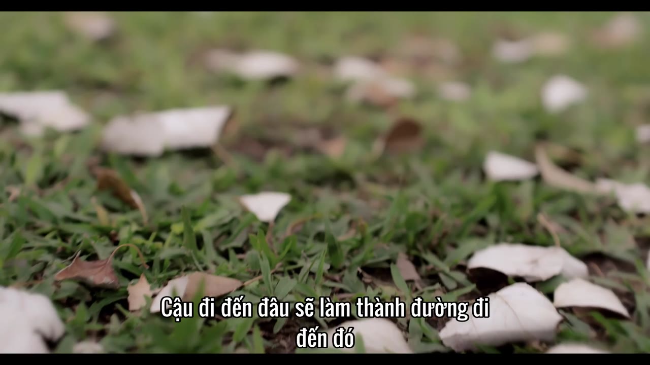 Sống trọn đam mê (Phần 1) tập 12 cảnh 2