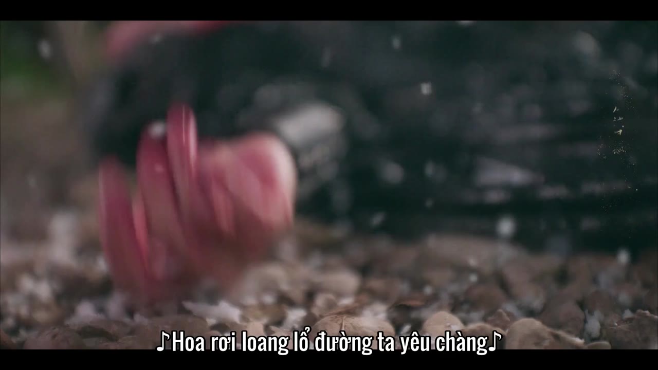 Đoạt Vợ tập 42 cảnh 2