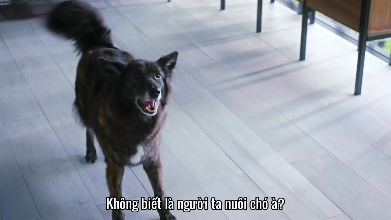 Cô Nàng Matalada tập 3 cảnh 3