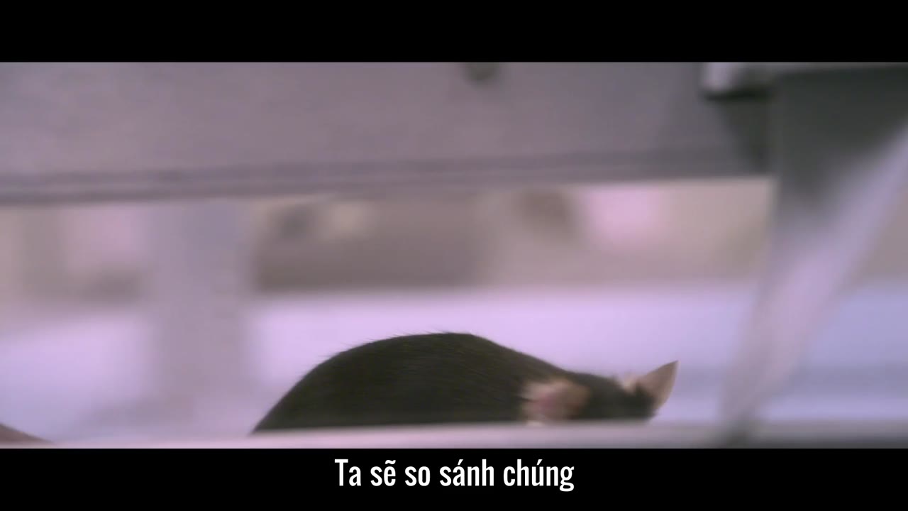 Chọn lọc phi tự nhiên tập 1 cảnh 3