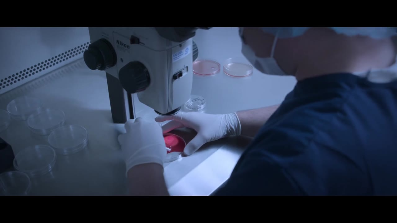 Chọn lọc phi tự nhiên tập 4