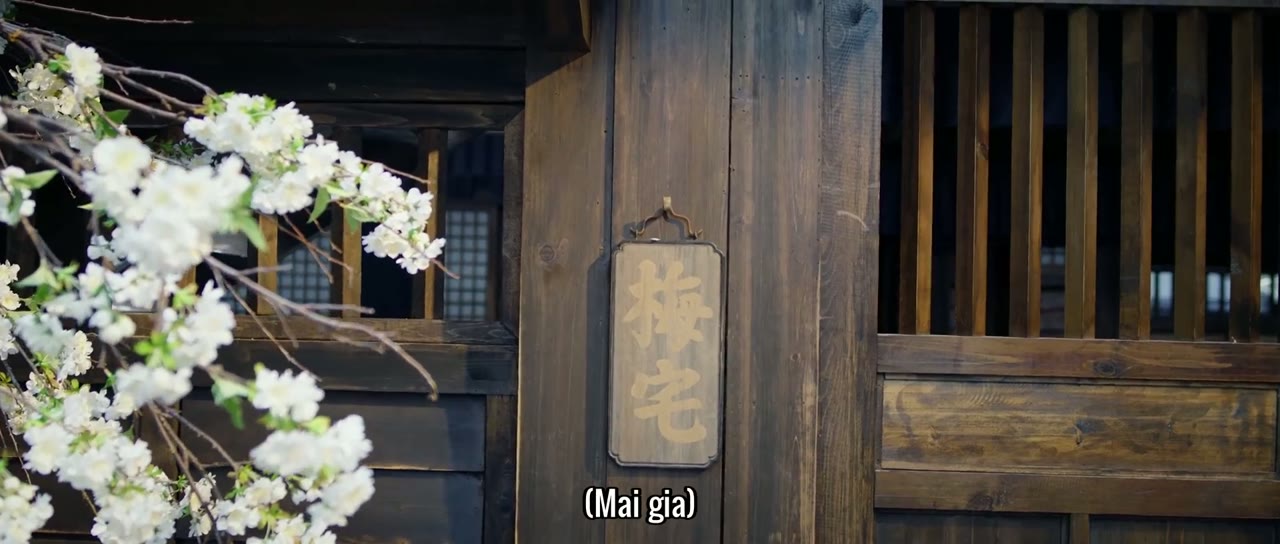 Tử Dạ Quy tập 37