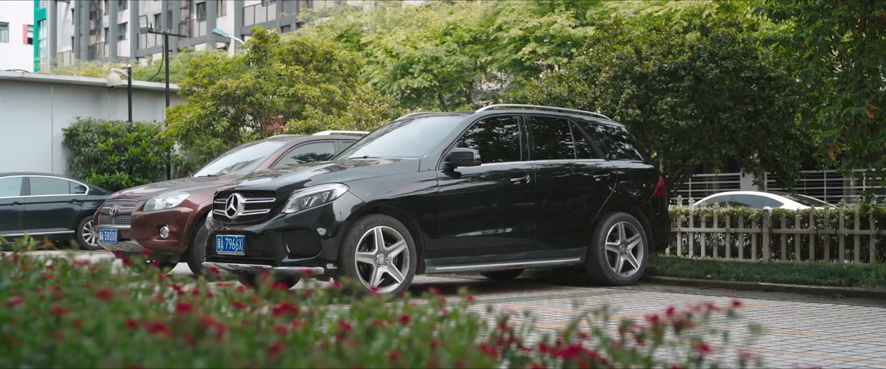 Cơn Bão Hoa Hồng tập 31