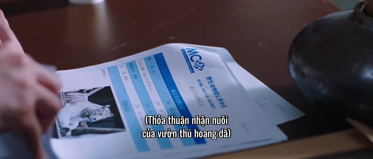 Tâm Linh Mê Vụ tập 17