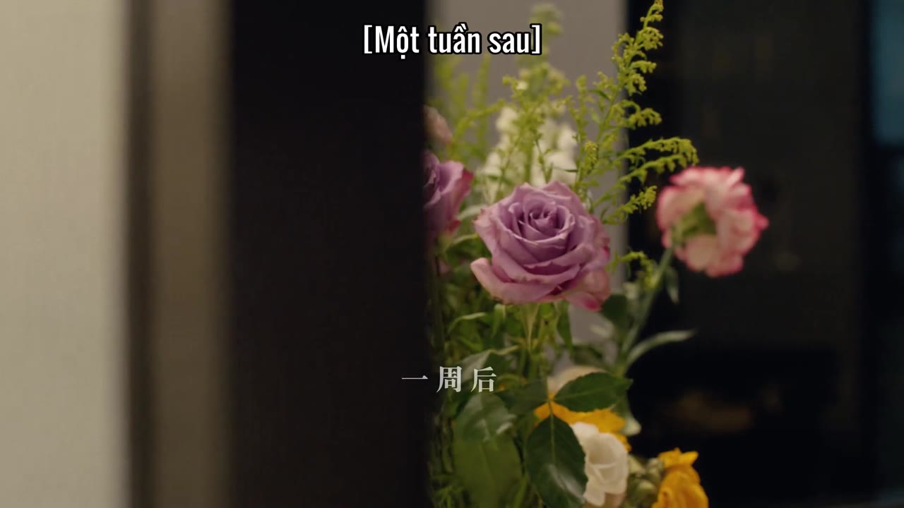 Cây Ô Liu Màu Trắng tập 20
