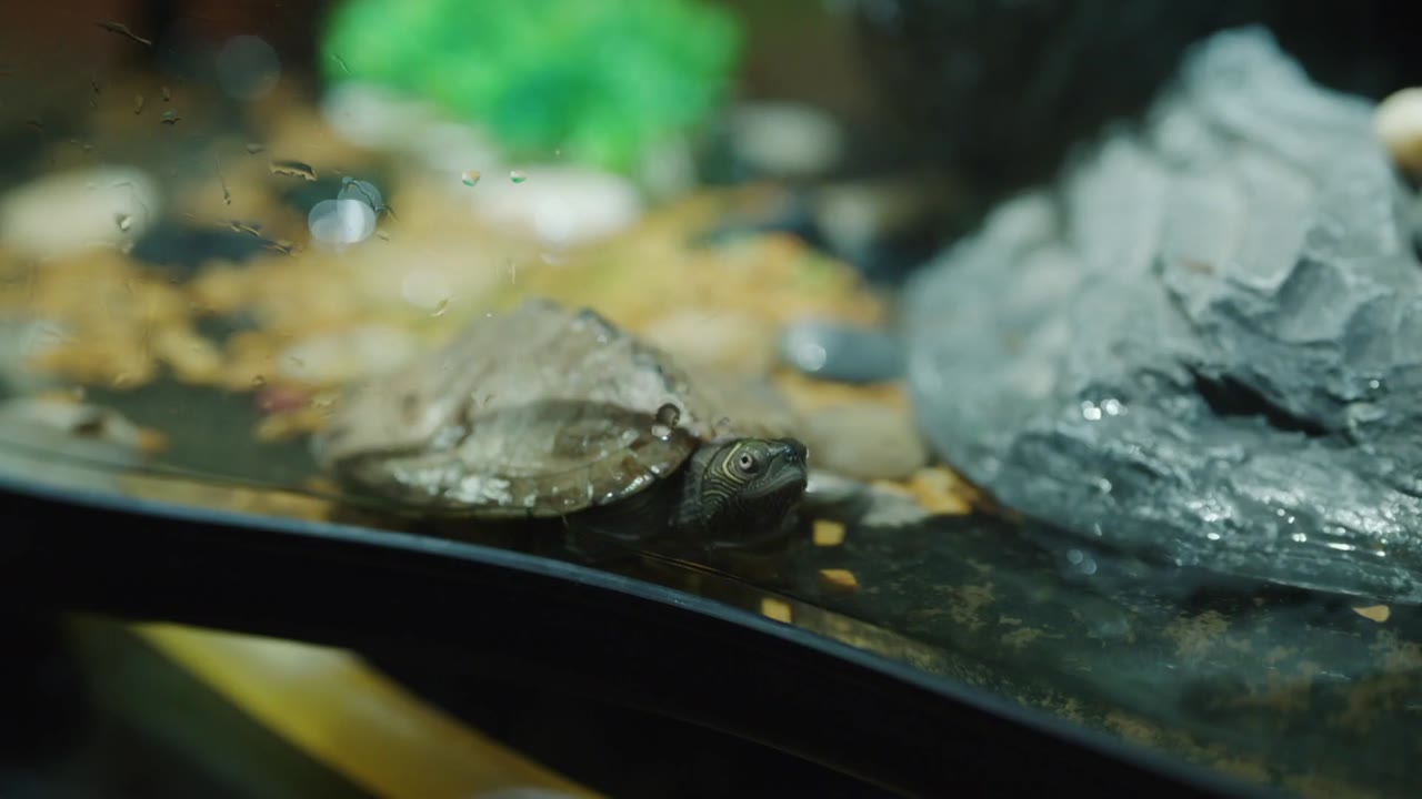 A Year Without a Job tập 22 cảnh 2