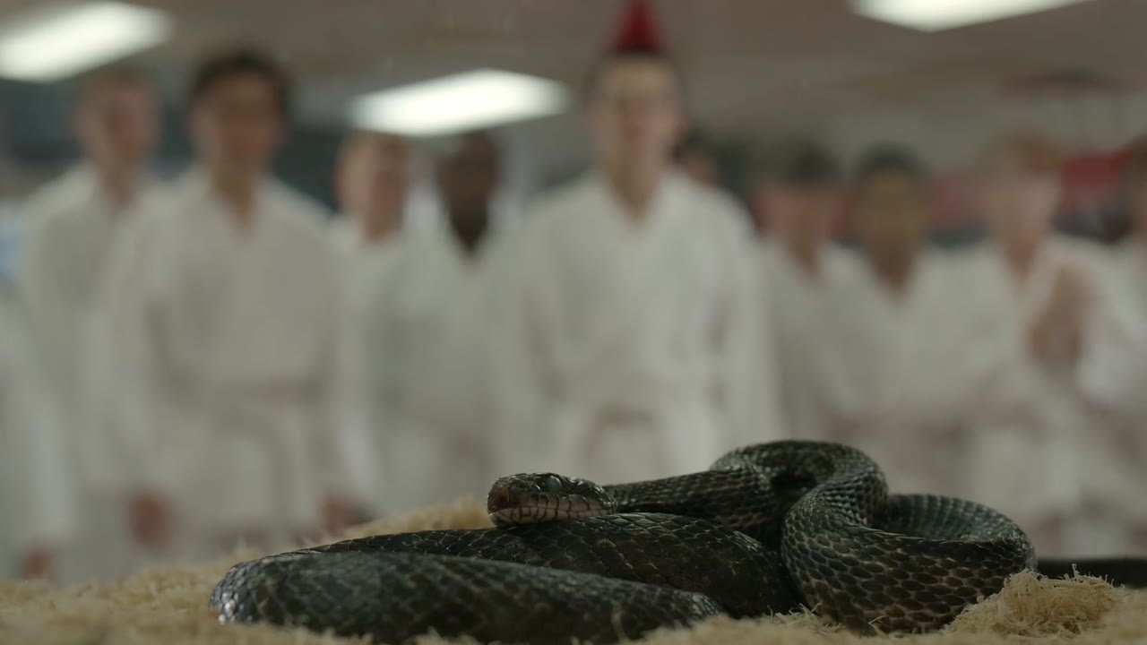 Võ Đường Cobra Kai (Phần 3) tập 2