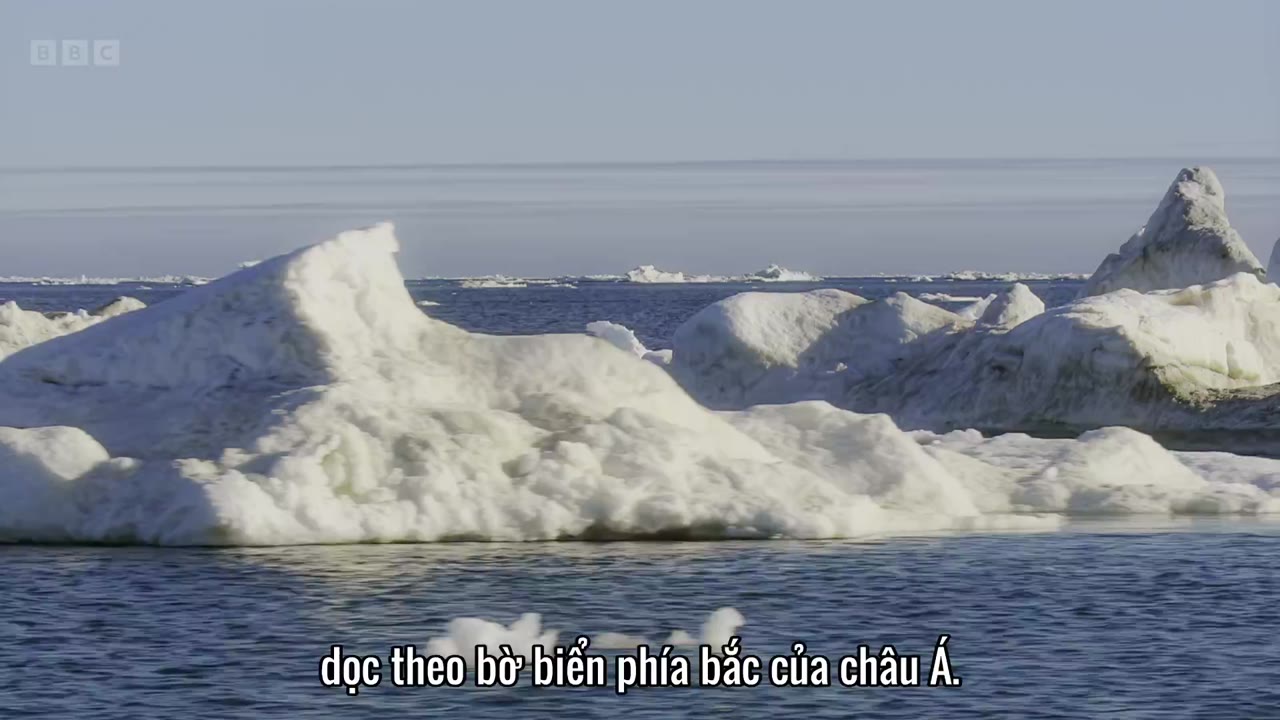 Asia tập 3 cảnh 3