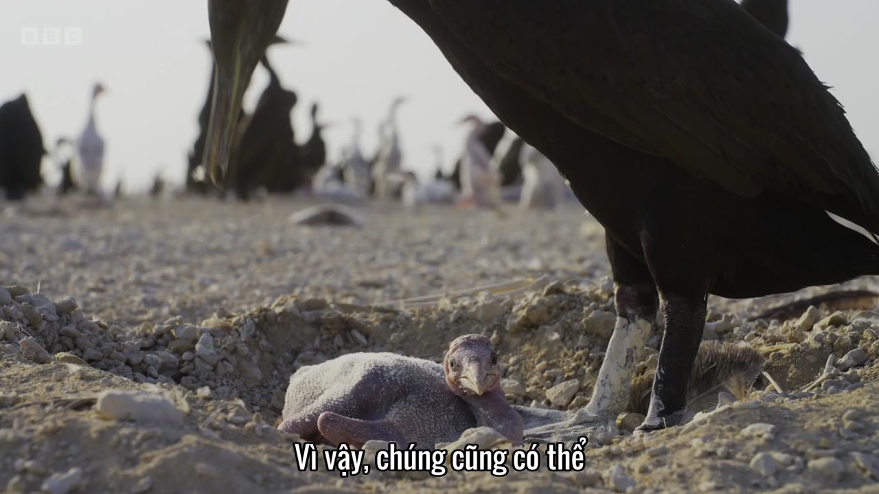 Asia tập 6 cảnh 2