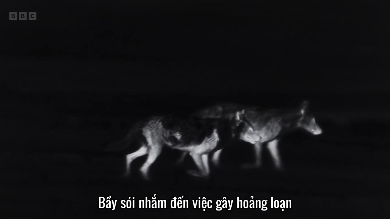 Asia tập 6 cảnh 3