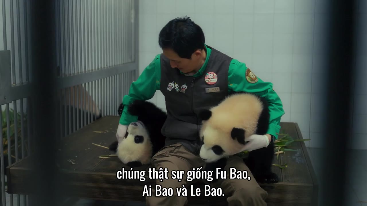 Fu Bao: Bảo Bối Của Ông tập 1 cảnh 3