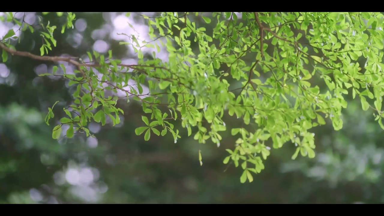 Nhìn Thấy Tình Yêu tập 9 cảnh 2