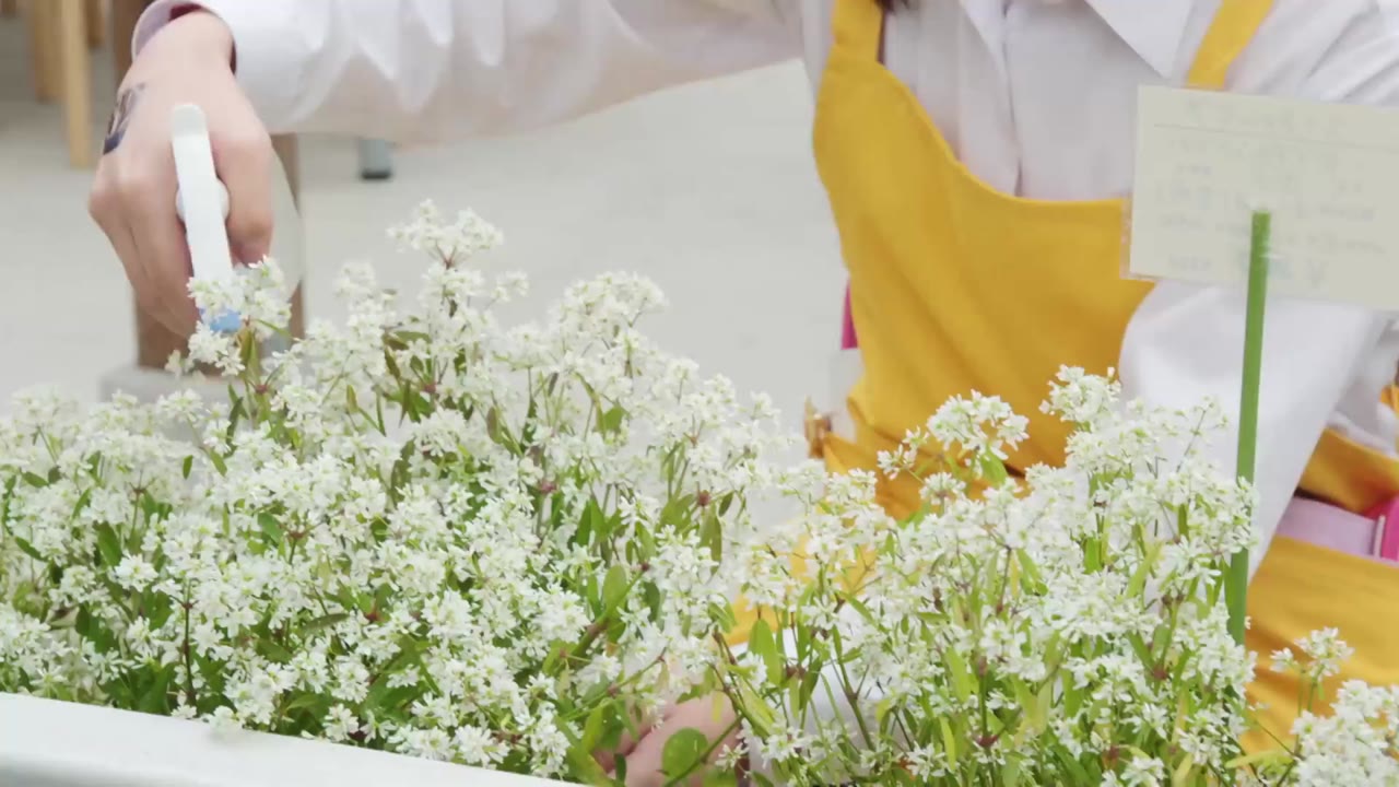 Hiệp sĩ mặt nạ: Hiểm họa A.I. tập 17
