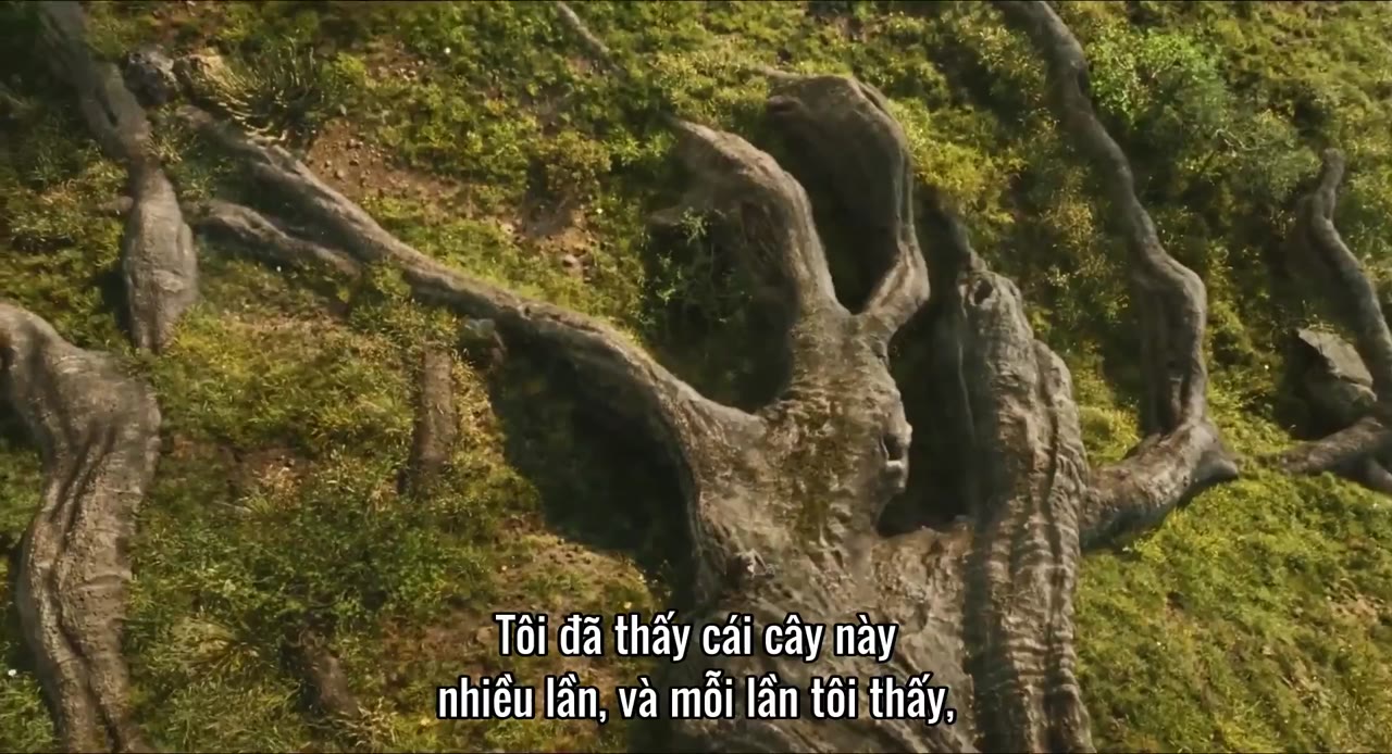 Mufasa: Vua Sư Tử tập 1 cảnh 3