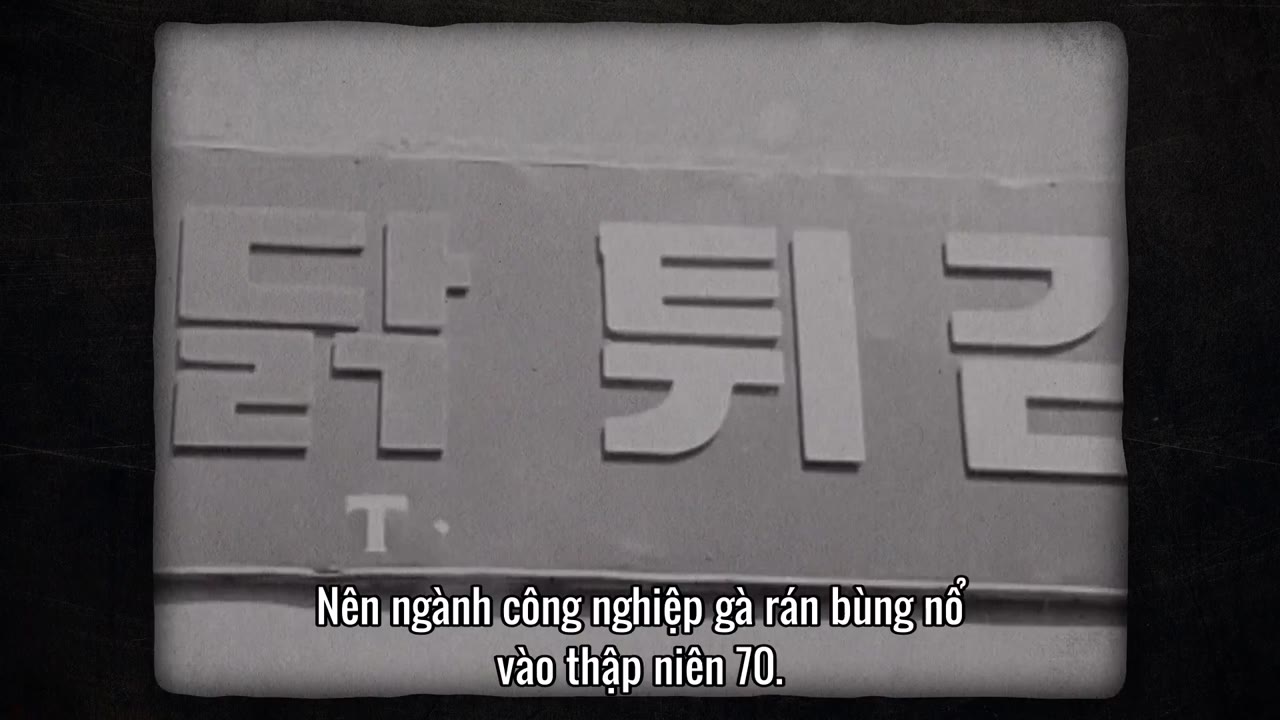 Gà Ràn Hàn Quốc tập 1 cảnh 2