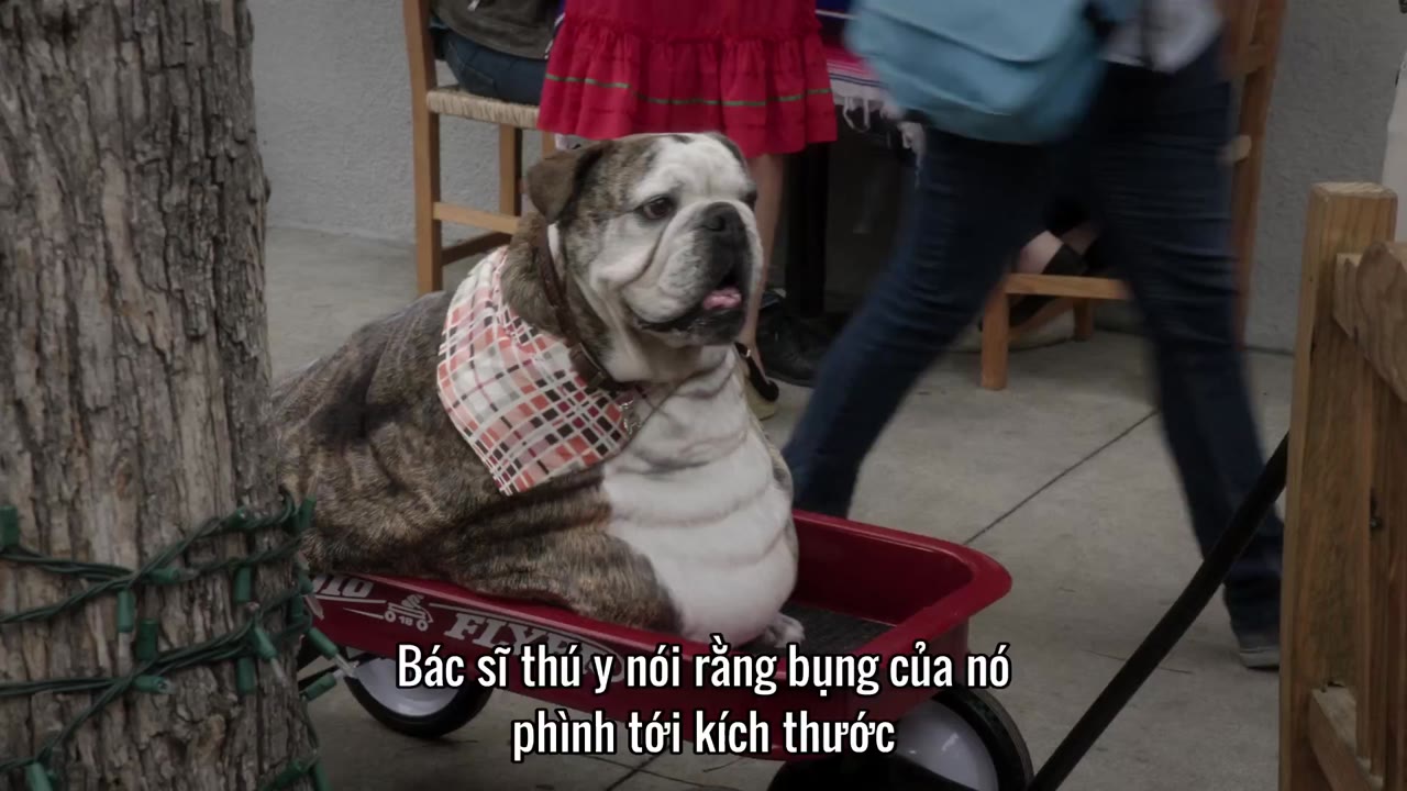 Chốn tốt đẹp (Phần 4) tập 6 cảnh 3