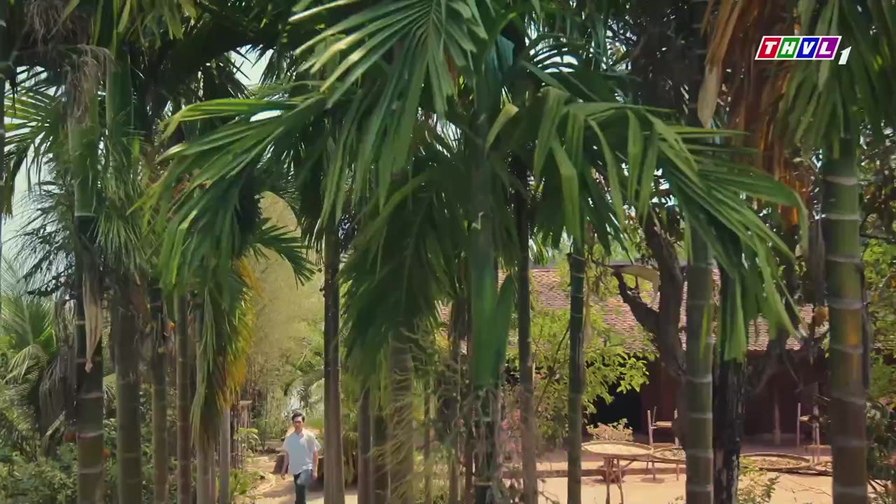 Tham Vọng Giàu Sang tập 36
