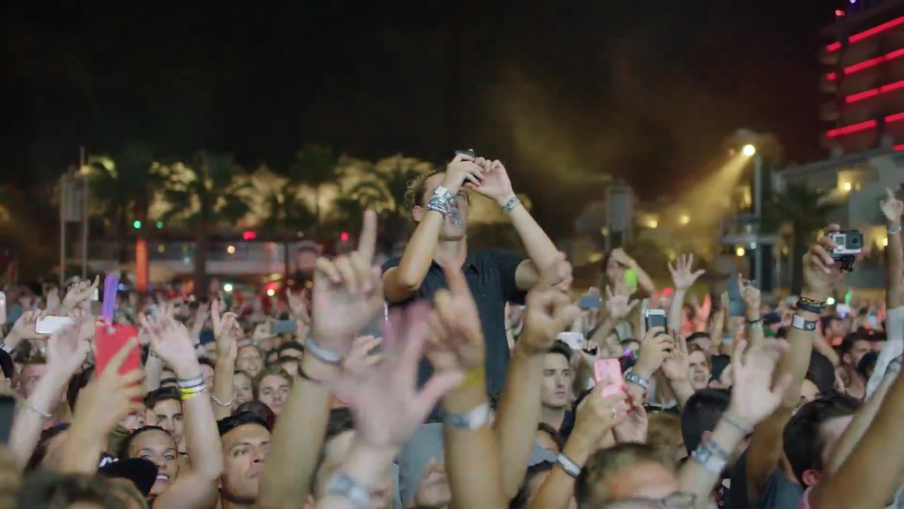 Avicii: Buổi Diễn Cuối Cùng Của Tôi - cảnh 3