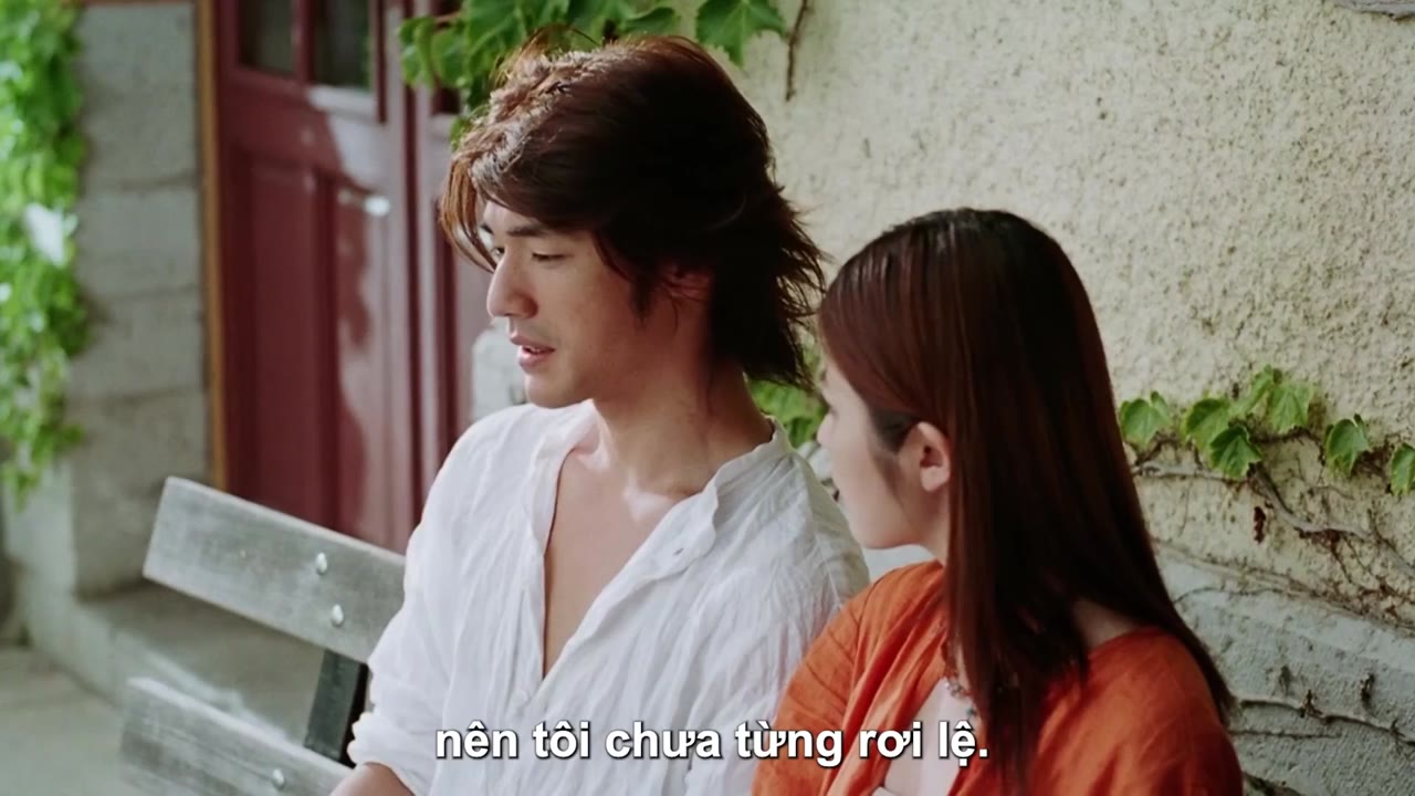 Hoa Oải Hương (Oải Hương Tím) - cảnh 3