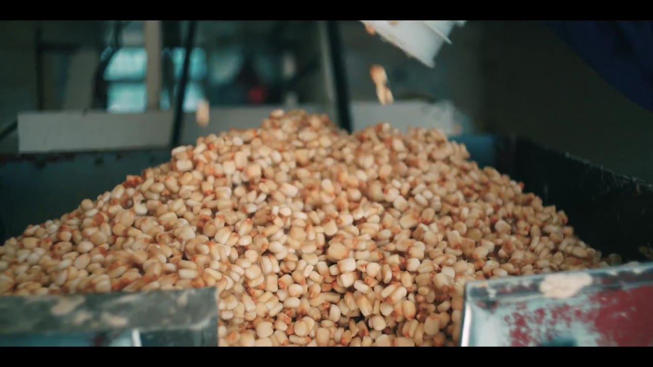 Biên niên sử Taco (Quyển 1) tập 3 cảnh 2
