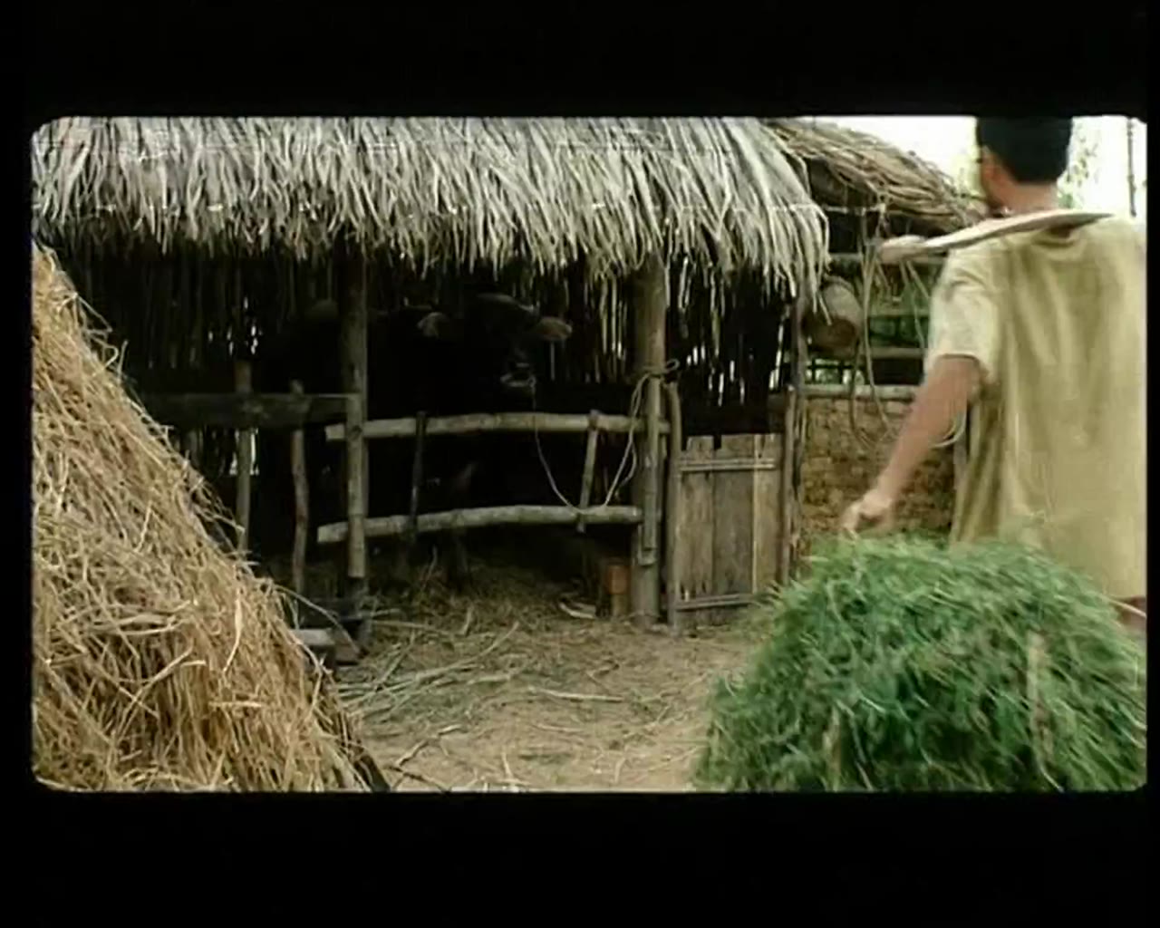 Bến Không Chồng - cảnh 1