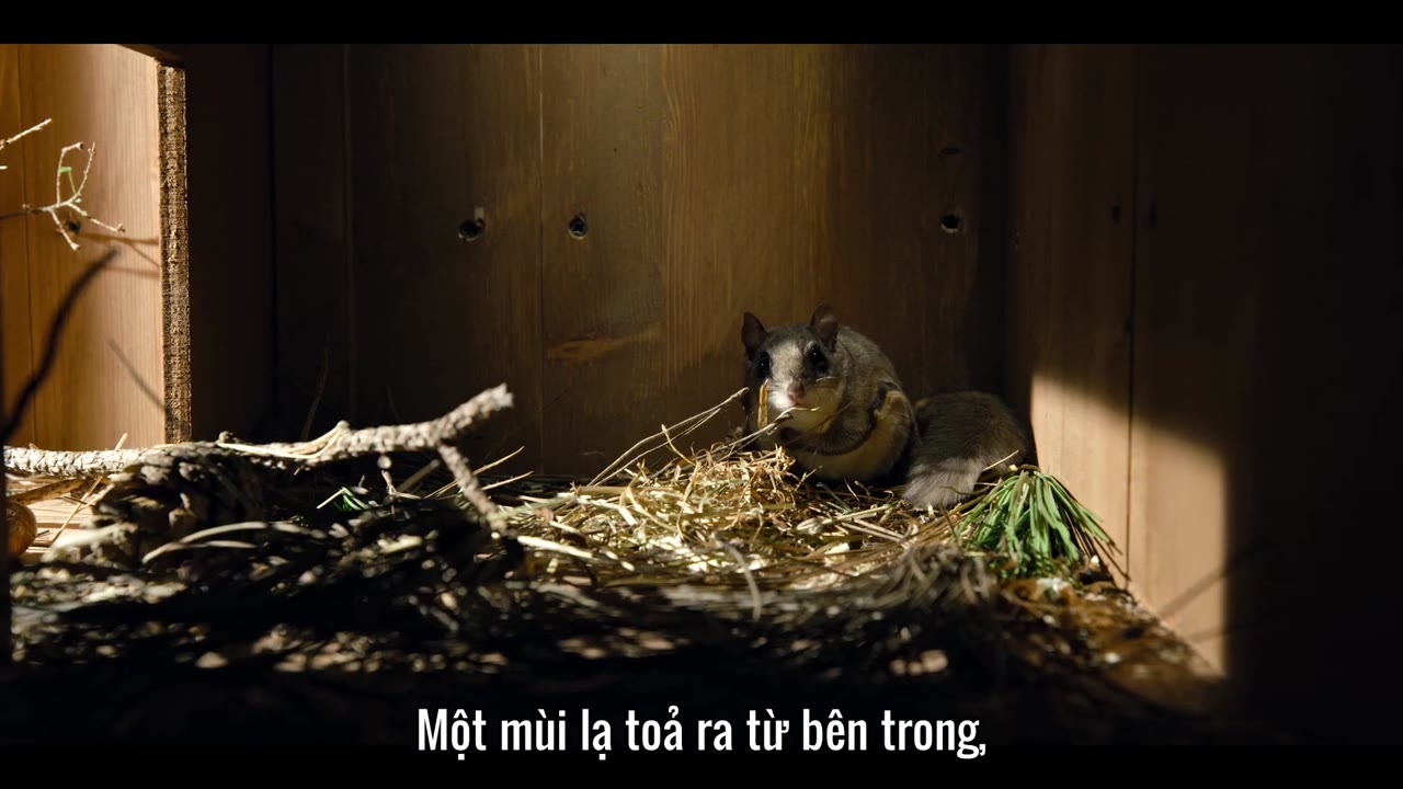 Những sinh vật tí hon tập 5 cảnh 2