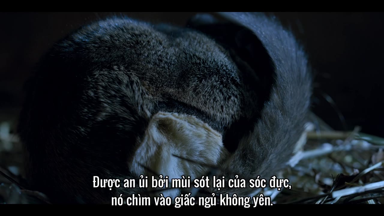Những sinh vật tí hon tập 5 cảnh 3