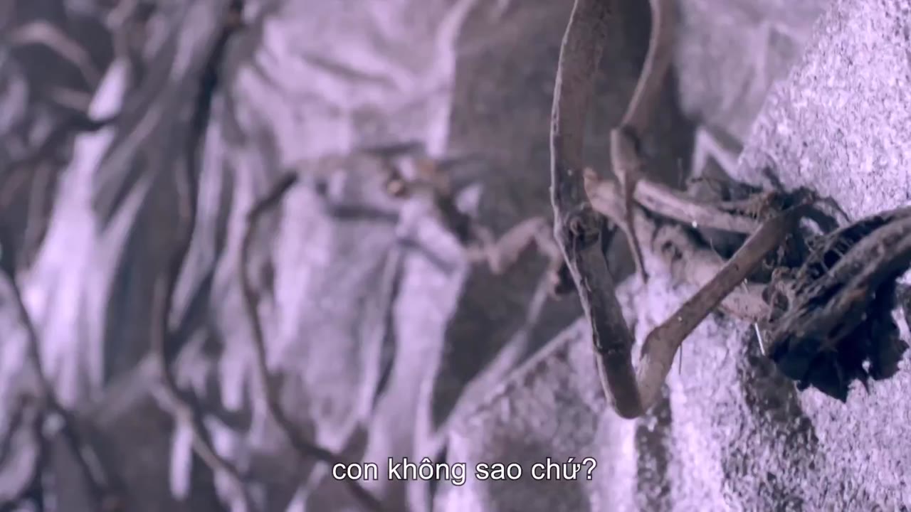 Truyền Thuyết Thanh Khâu Hồ tập 39 cảnh 3