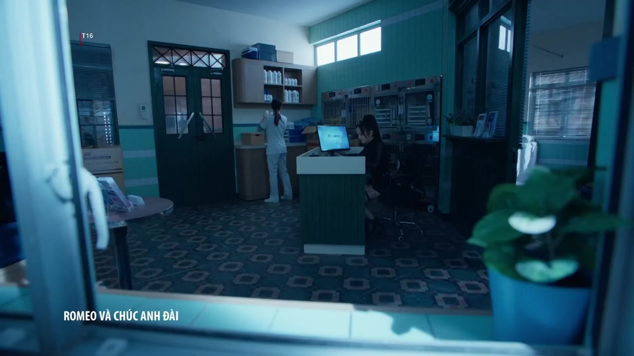 Romeo Và Chúc Anh Đài tập 5