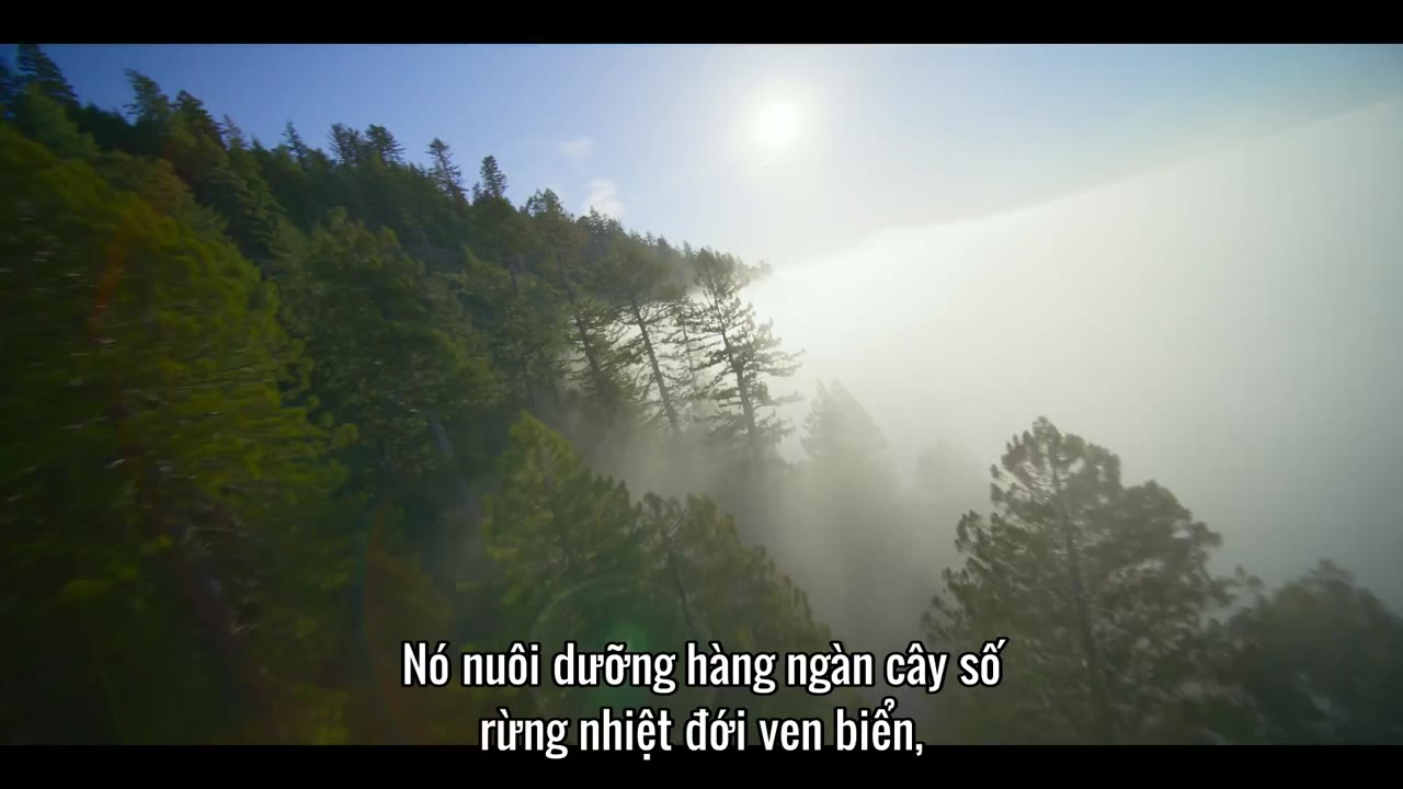Đại dương của chúng ta tập 1 cảnh 2