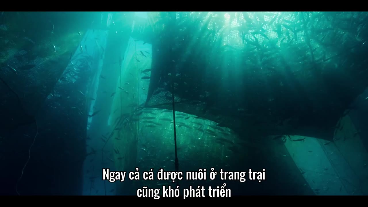 Đại dương của chúng ta tập 3 cảnh 3