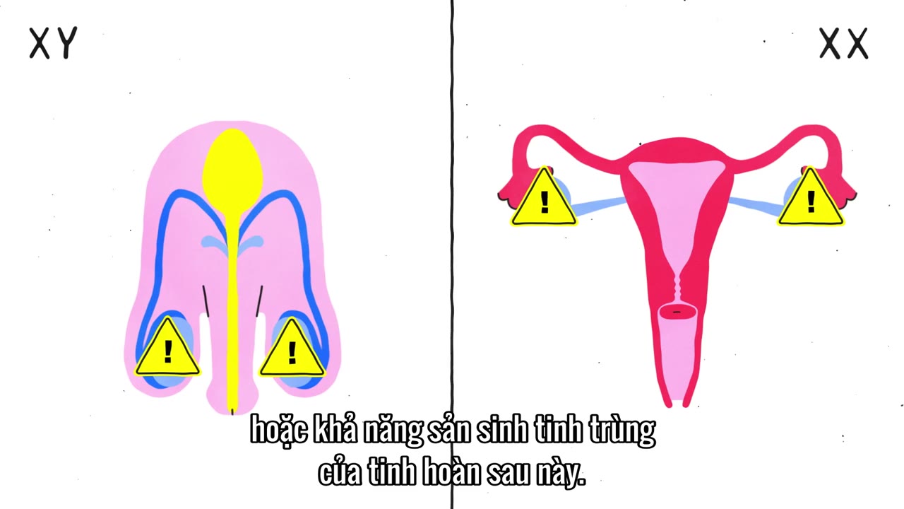 Giải mã tình dục tập 4 cảnh 2
