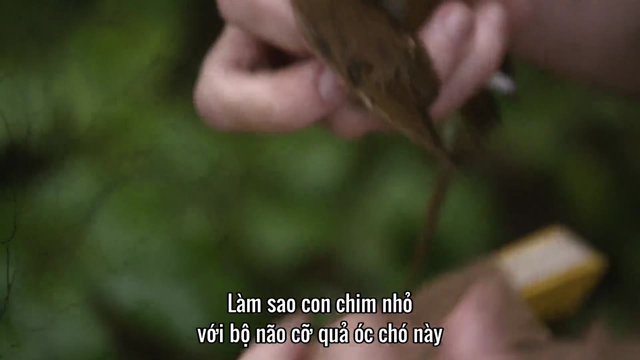 Kết nối tập 1