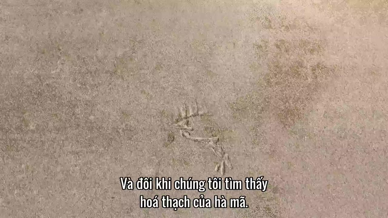 Kết nối tập 3