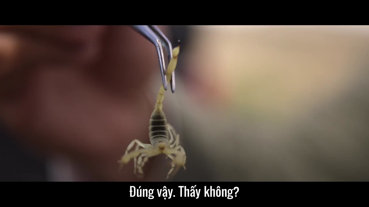 Những hành tinh khác tập 2 cảnh 2