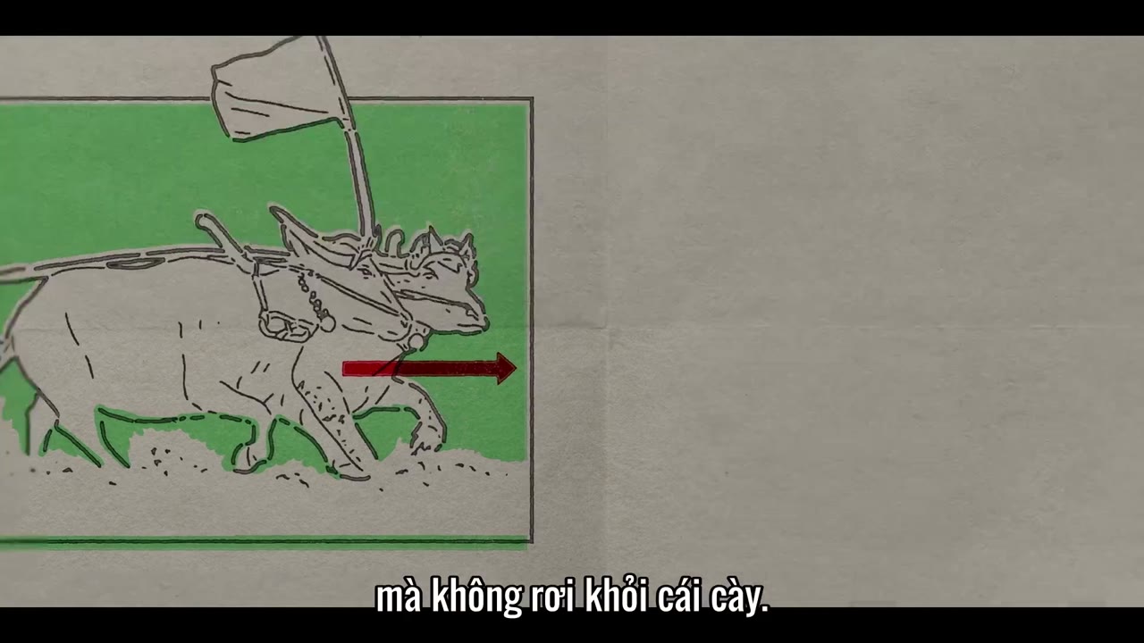 Cuộc chơi sân nhà: Thể thao khắp thế giới tập 7