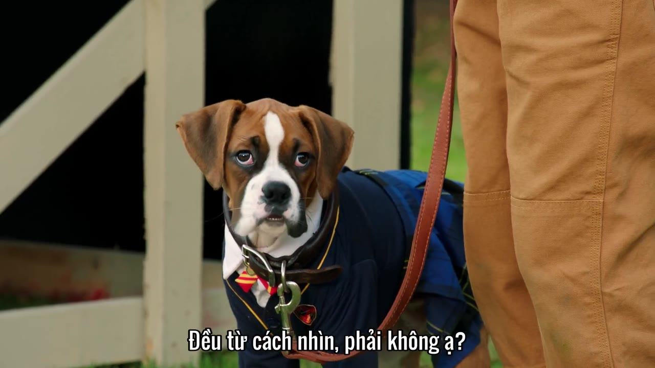 Học viện cún con (Phần 1) tập 4 cảnh 3