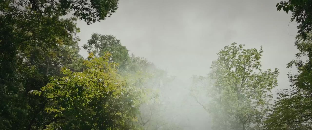 Chung Cực Bút Ký tập 9