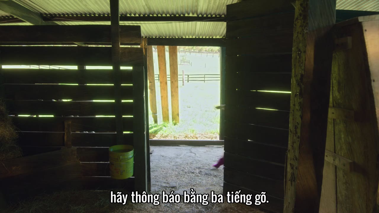 Ảo Thuật Gia Hạng Xoàng Juanqini (Phần 2) tập 6 cảnh 3