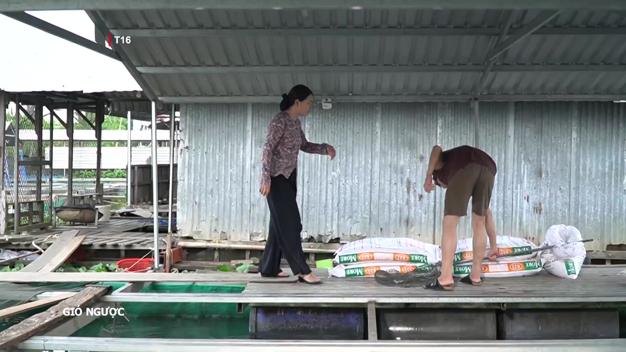 Gió Ngược tập 13 cảnh 3