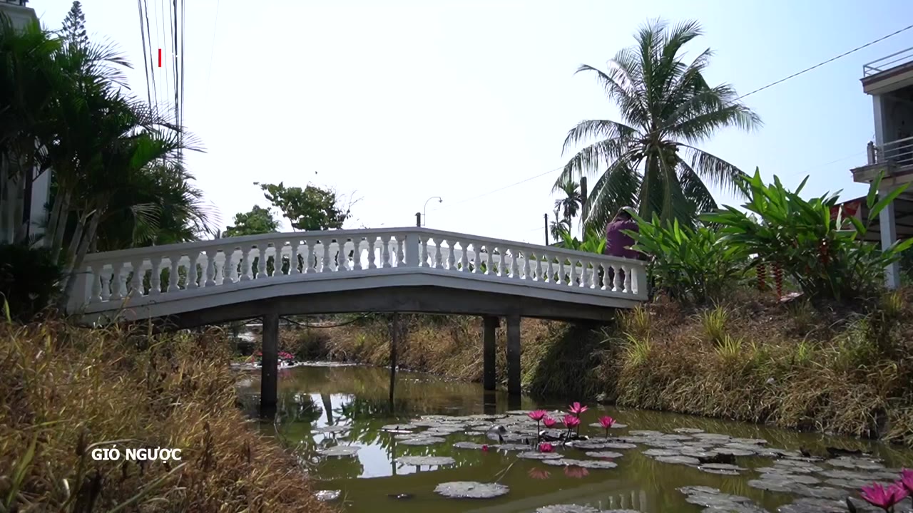 Gió Ngược tập 29 cảnh 3